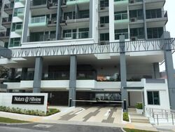Natura@Hillview (D23), Apartment #563175691